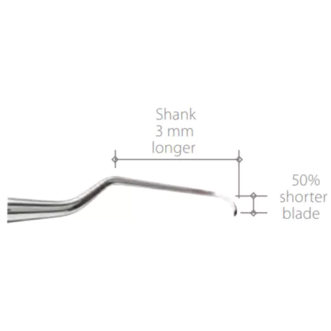 Cureta Gracey Access - American Eagle