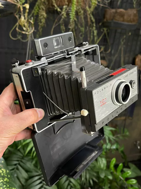 Câmera Polaroid 101 automatic.