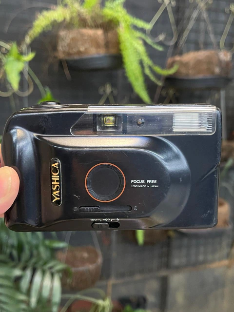 Câmera Yashica MD 135 - comprar online
