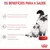 Ração Úmida Royal Canin Mother e Babycat Instinctive 195 g na internet