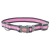 Coleira Coastal Pro Reflective Pink - Cinza e Rosa na internet