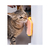 Escova Massageadora de Parede Para Gatos Com Catnip Rosa Oikos Animal - Chiaradia Pet Store