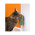 Escova Massageadora de Parede Para Gatos Com Catnip Verde Oikos Animal na internet