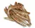 Manjuba Luv 80g