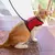 Ferplast Jogging XL para gatos e coelhos - Vermelho - comprar online