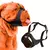 Focinheira Ferplast Safe Boxer Para cachorros de focinho curto - Chiaradia Pet Store