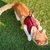 Ferplast Jogging XL para gatos e coelhos - Vermelho na internet