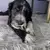 Kong Bamboo Rockerz - Mordedor para cachorro - comprar online