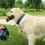 Coleira Kong Reflective Vermelha para Cachorros de Médio e Grande Porte - loja online