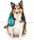 Outward Hound Invincibles Snake Blue XL na internet