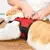 Ferplast Jogging XL para gatos e coelhos - Vermelho - loja online