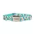 Coleira Coastal Ribbon Teal Sketched Abstract