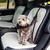 Kong Travel Seatbelt Cinto de segurança - Chiaradia Pet Store