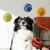 Kong Sport Softies Balls Pack Médio - Brinquedo para cachorro na internet