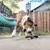 Benebone Zaggler Bacon - Mordedor para cachorro - Chiaradia Pet Store