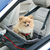 Kong Travel Secure Booster Seat - Cesto de Transporte para cachorro na internet