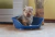 Cama Plástica Ferplast Siesta Deluxe Tamanho 2 - Chiaradia Pet Store