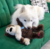 Kong Knots Wild Bear Urso de Pelúcia Marrom Para cachorro - loja online