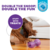 Outward Hound Double Snoop Roxo Brinquedo de borracha para cachorro - Chiaradia Pet Store