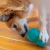 Outward Hound Double Tuff Brinquedo de borracha recheável para cachorro - Chiaradia Pet Store