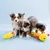 Deluxe Caterpillar Zippy Paws Pelucia para Cachorro - loja online