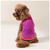 Sweater Para Cães My Family laranja fucsia - loja online