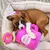 Zippy Paws Burrow Donut Disturb na internet