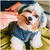 Petisco Dentalight Vital Fiber Wellbar Small petisco para cachorro 70g na internet