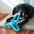 Kong Flyangle Assorted Grande - Brinquedo para cachorro na internet
