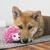 Kong Comfort Hedgehug Puppy XS Pelúcia para Cachorro na internet