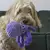 Kong Cuteseas Polvo Médio - Pelúcia para cachorros - comprar online