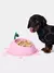Vetreska Bowl Peach - Comedouro para cães e gatos - comprar online