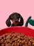 Vetreska Bowl Cherry - Comedouro para cães e gatos na internet