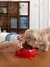 Vetreska Bowl Cherry - Comedouro para cães e gatos na internet