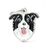 Medalha My Family Border Collie