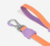 Guia para cachorros ZeeDog Neopro Iris - Chiaradia Pet Store