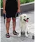 Kong Guia Refletiva Traffic Leash 1,5 Metros M/L Para Cachorros - comprar online