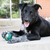 Kong ChiChewy Ball Média - Brinquedo recheável para cachorro na internet