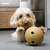 Kong Bamboo Feeder Dumbball Dispensador de Guloseimas para Cachorros - comprar online