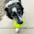O KONG Reflex Football Médio - Bola Para cachorro na internet