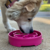Soda Pup Flower Ebowl Comedouro Lento para Cachorros - Chiaradia Pet Store