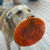 Soda Pup Licki Mat Camping Tapete de Lamber com Ventosas para Cachorro na internet