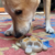 Soda Pup Mordedor Turtle eChew para Cachorros - loja online