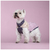 Sweater Para Cães My Family Lilás Rosa - loja online