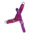 Peitoral Para Cachorros Zee Dog Softer Walk Antipuxão Brain - comprar online