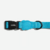 Coleira Para Cachorros Ultimate Blue Zee Dog na internet