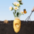 Vetreska Daisy 1 Dispenser + 1 Rolo - loja online