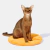 Imagem do Vetreska Tangerine Rattan Cama Para Gatos