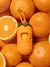 Vetreska Pet Tangerine 1 Dispenser + 1 rolo na internet
