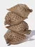 Vetreska Pet Coffee (1 Dispenser + 7 Rolos) - Conjunto de Sacos Cata Caca - Chiaradia Pet Store